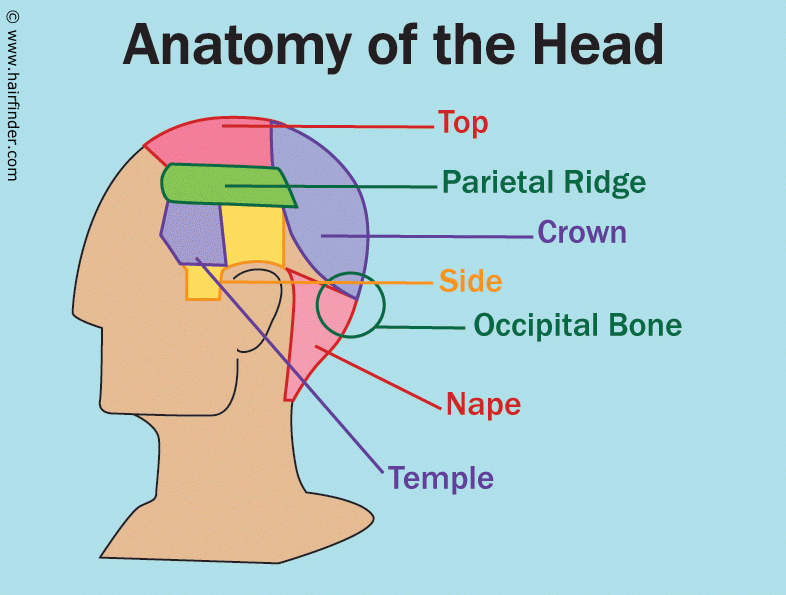Headaches NoFap 