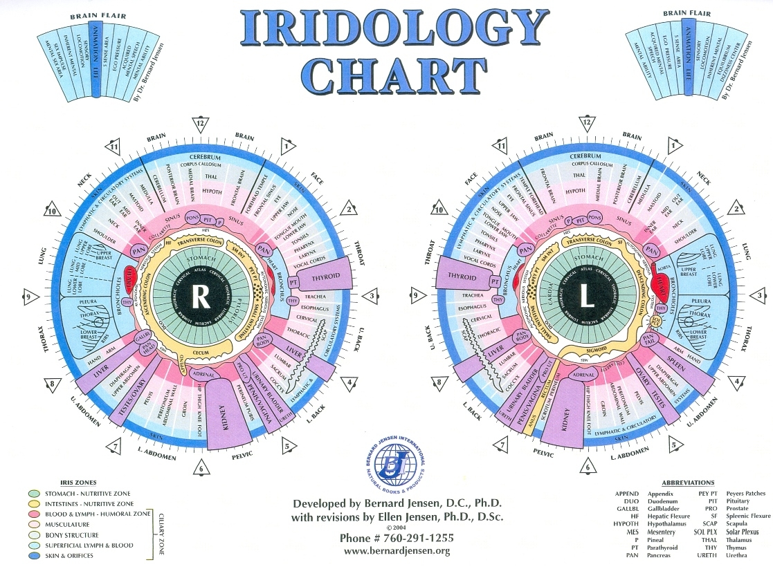 HEALING WAYS IRIDOLOGY CHARTS