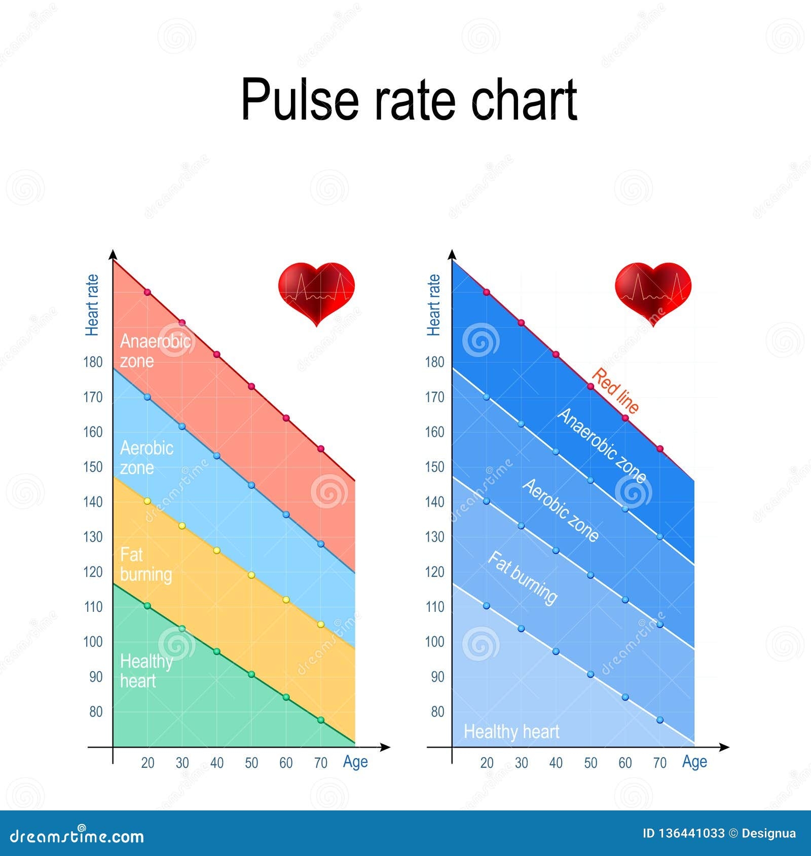 Heart Pulse Rate Chart