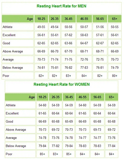 Heart Rate Bpm Chart By Age At Pam Kirkland Blog
