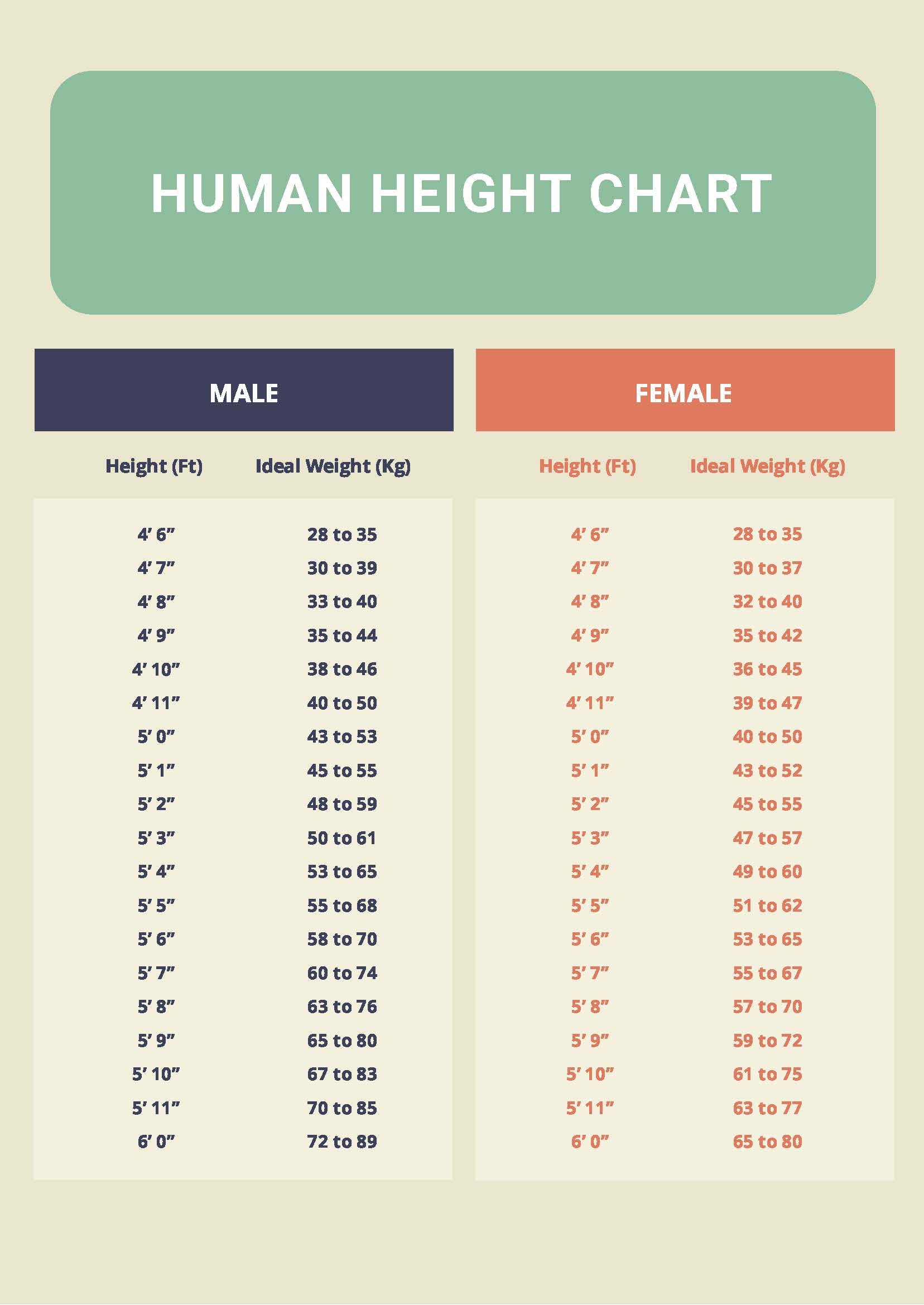 Height Chart In Inches In PDF Download Template
