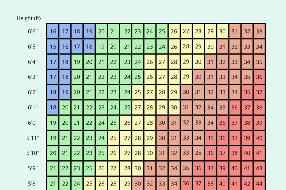 Height Weight Male BMI Chart In PSD Illustrator PDF Word Download