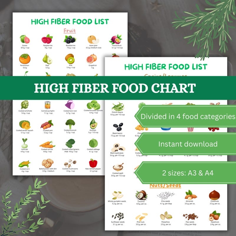 High Fiber Food Chart Etsy