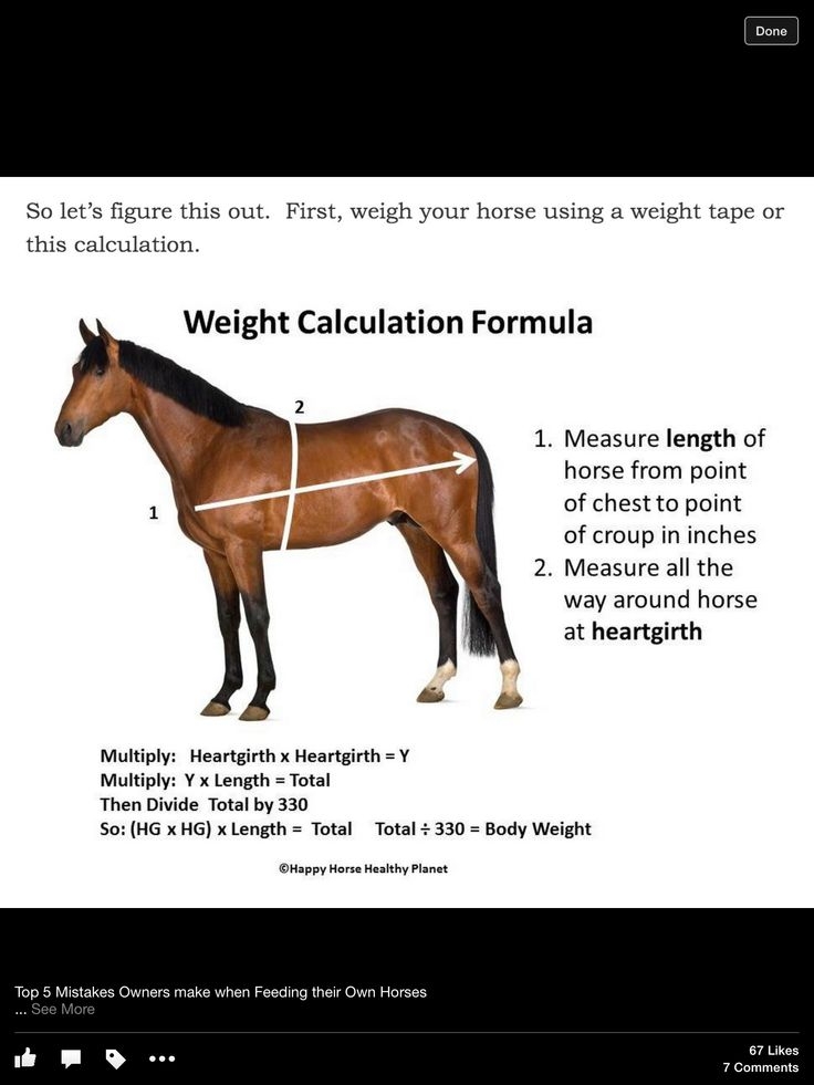 Horse Body Weight Chart At Sean Hawker Blog
