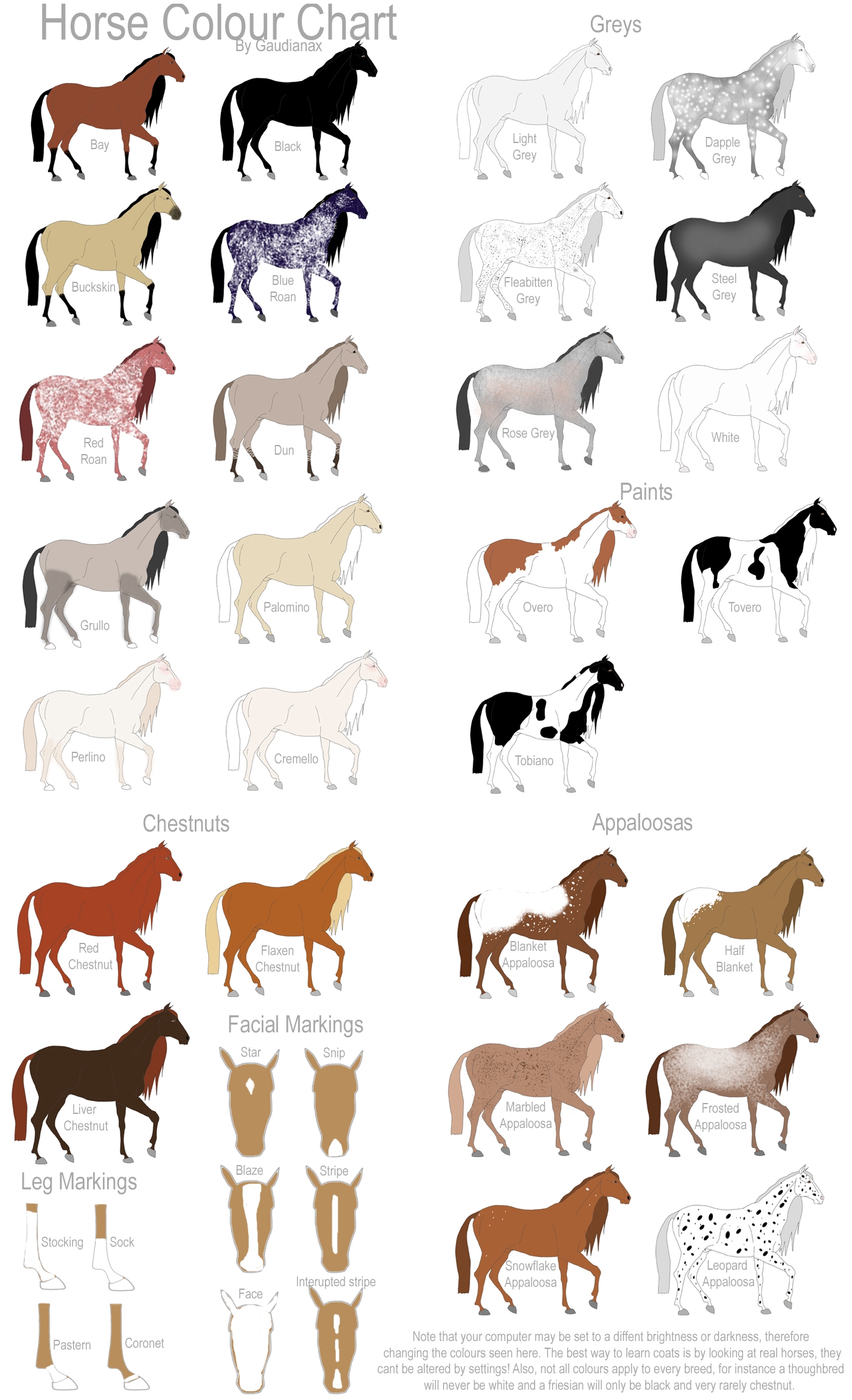 horse color chart horse color chart