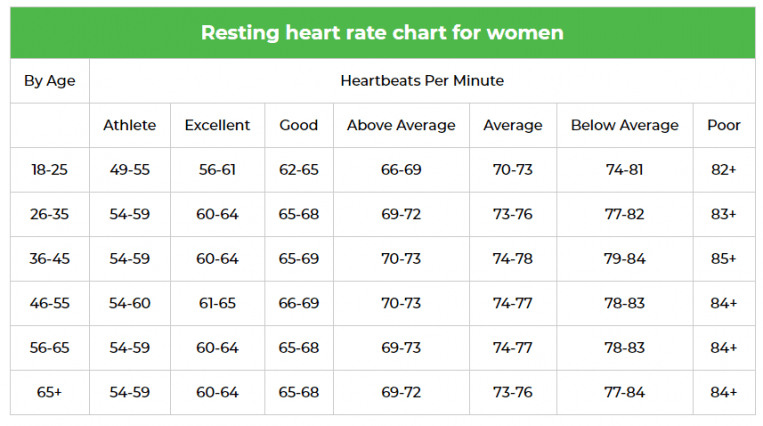How Fit Are You Test Yourself With This Online Fitness Test