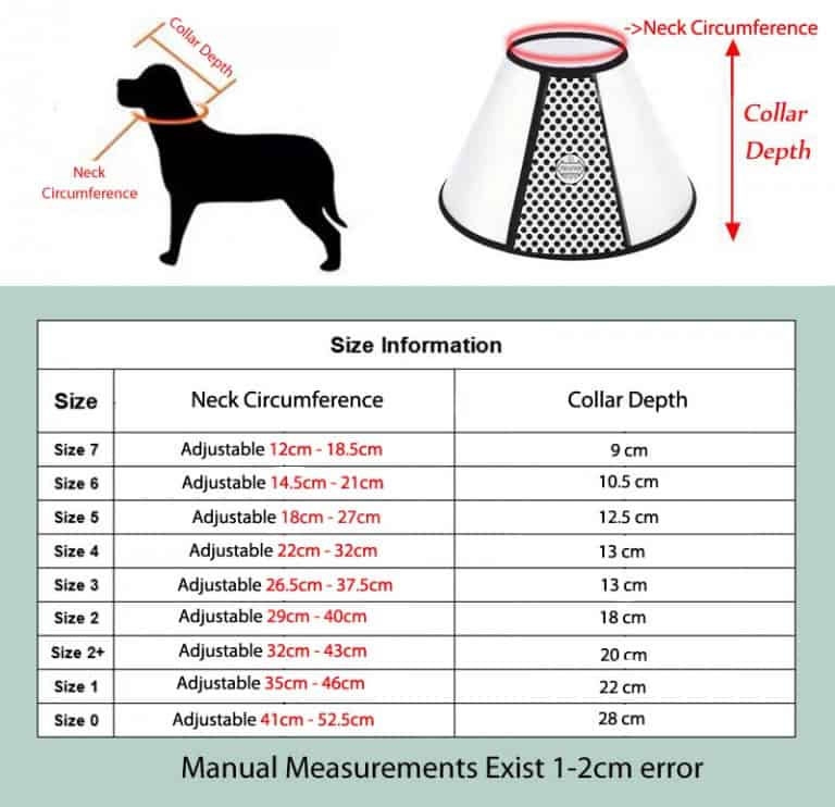 How Is A Cone Supposed To Fit A Dog At Heather Kushner Blog