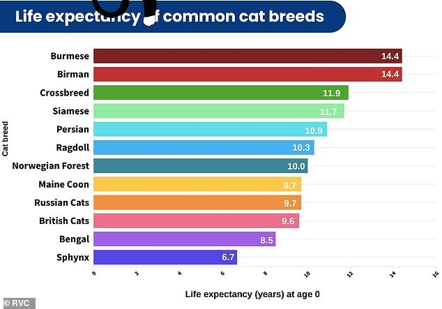 How Long Will Your Cat Live Eerie Charts Predict The Life Expectancy 