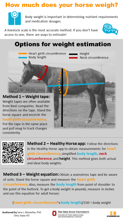 How Much Does Your Horse Weigh Extension Horses
