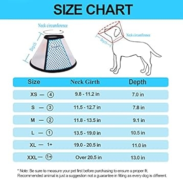 How Should A Cone Fit On A Dog