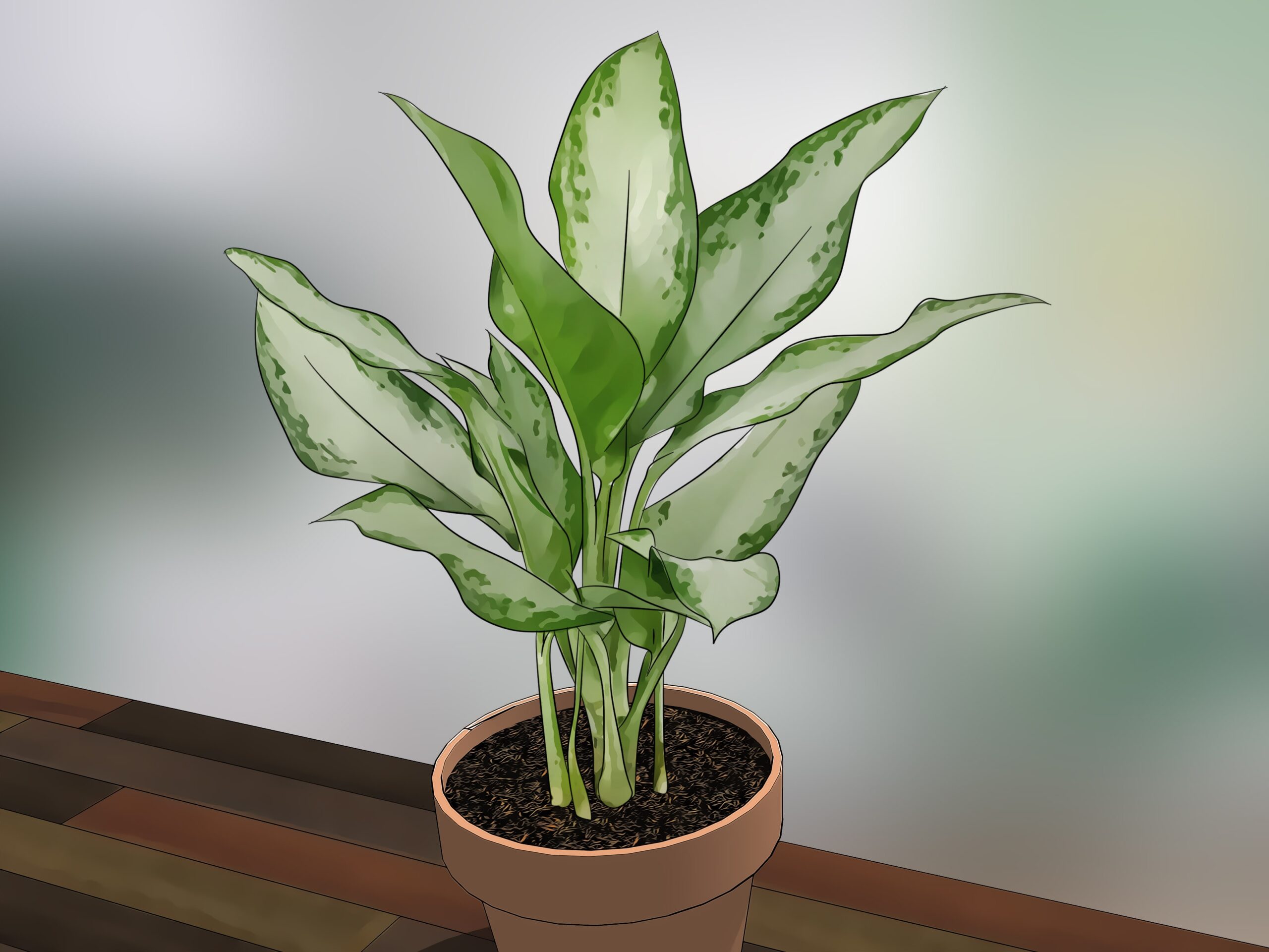 plant companion chart