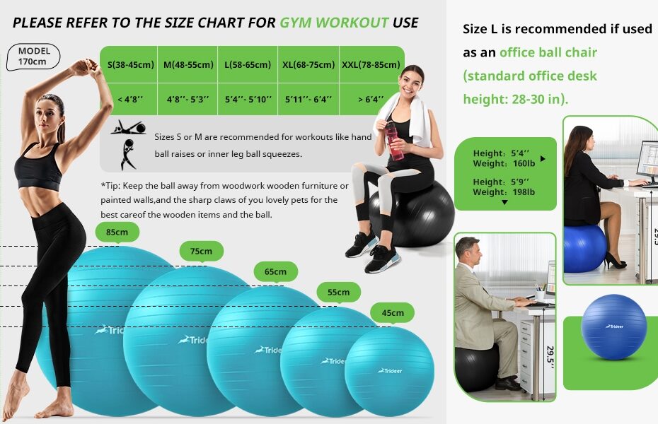 How To Choose A Fitness Ball Size At Lisa Cunningham Blog