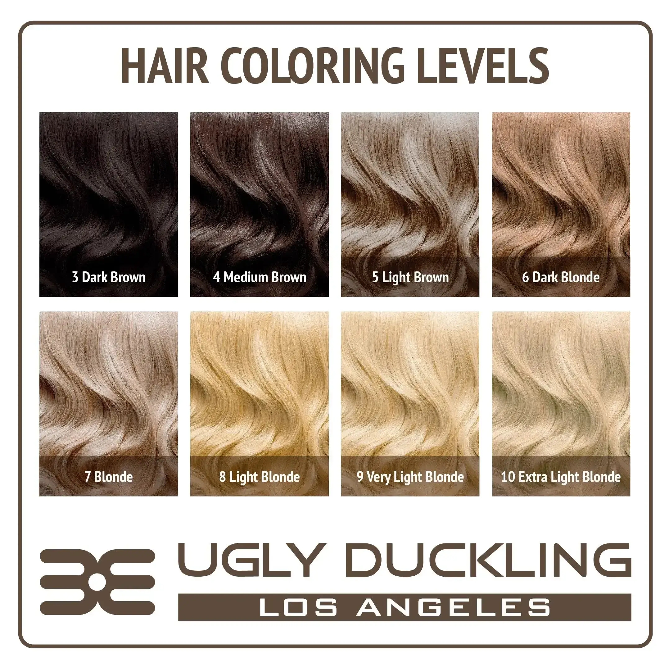 How To Color Level 6 Hair Ugly Duckling