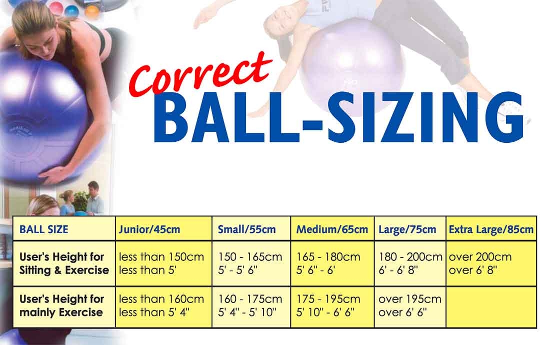 How To Determine Exercise Ball Size At Barbara Calvert Blog