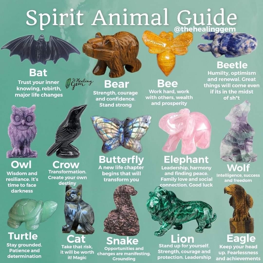 How To Find Your Spirit Animal The Complete Guide Artofit