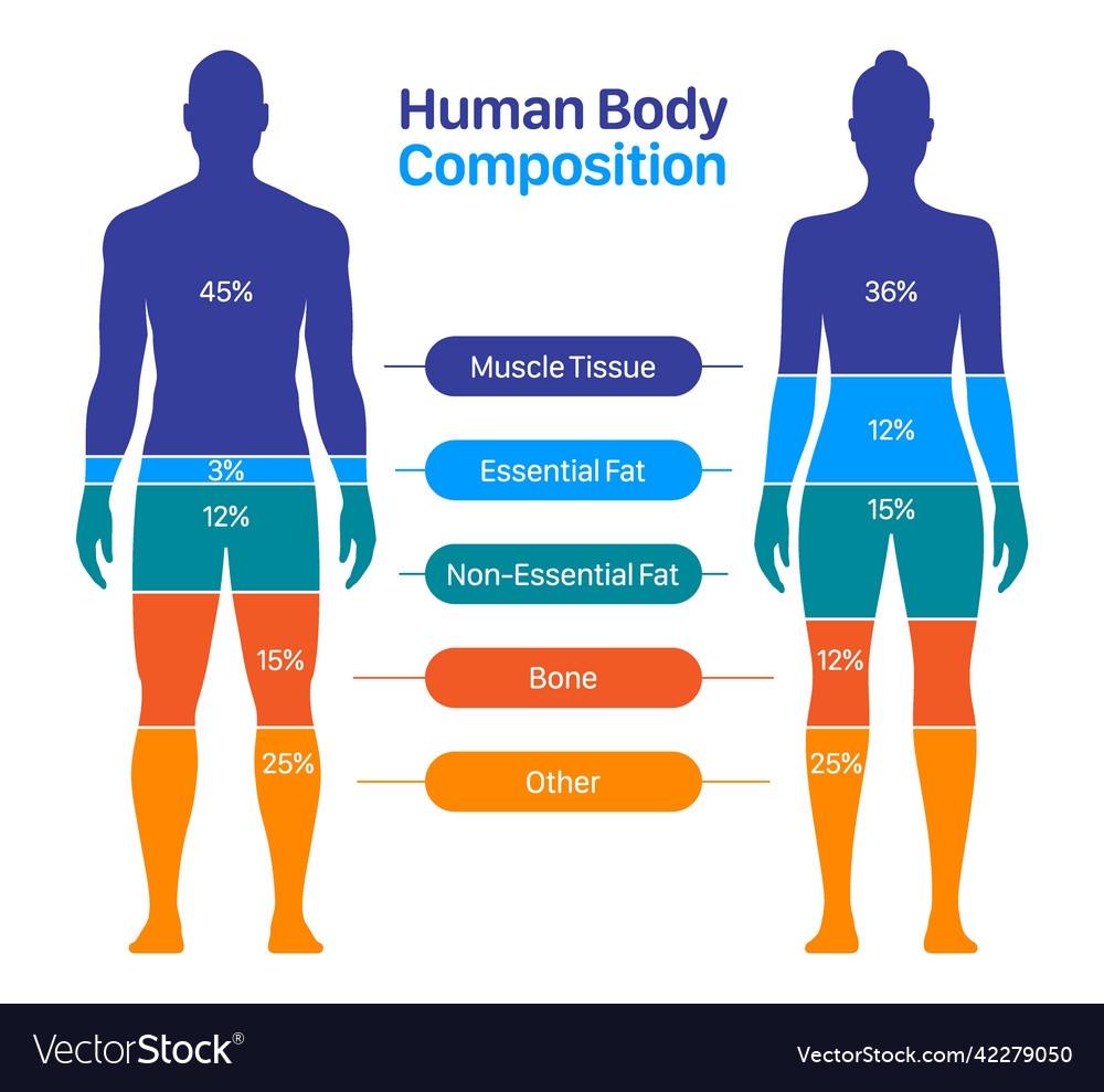 body mass index male chart