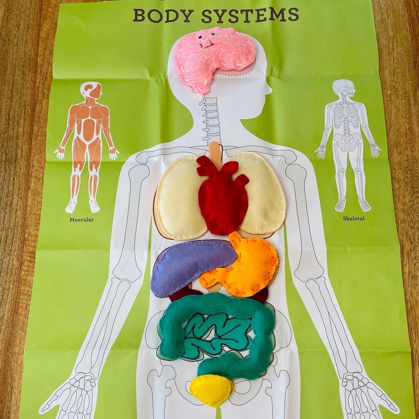 body fat index chart body fat index chart