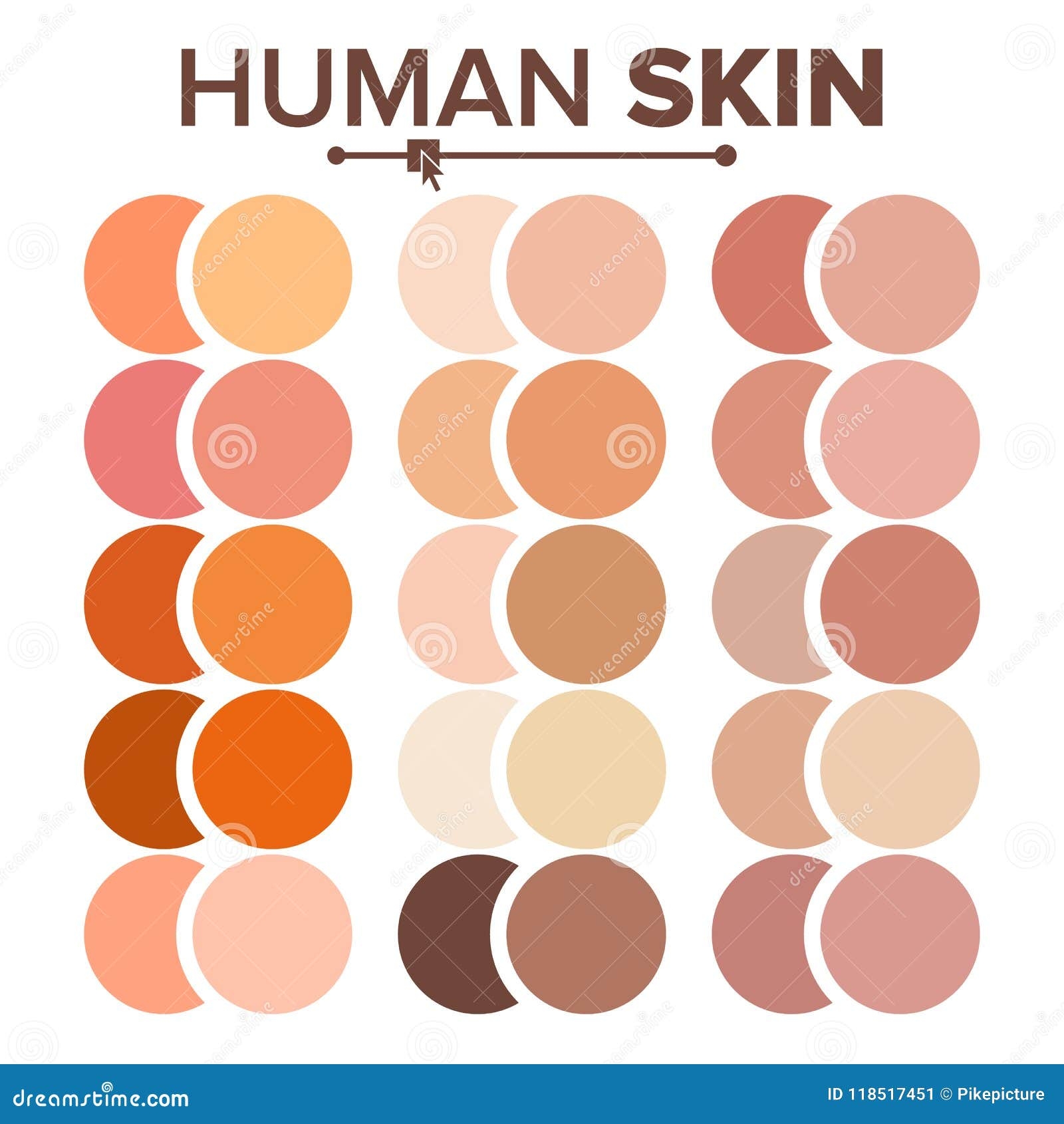 Human Skin Color Chart Human Skin Color Chart