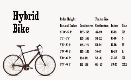 Hybrid Bike Frame Size Chart