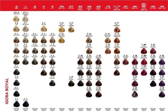 Igora Royal Color Chart 1 Cendre silver Ash 2 Ash blue Ash 3 