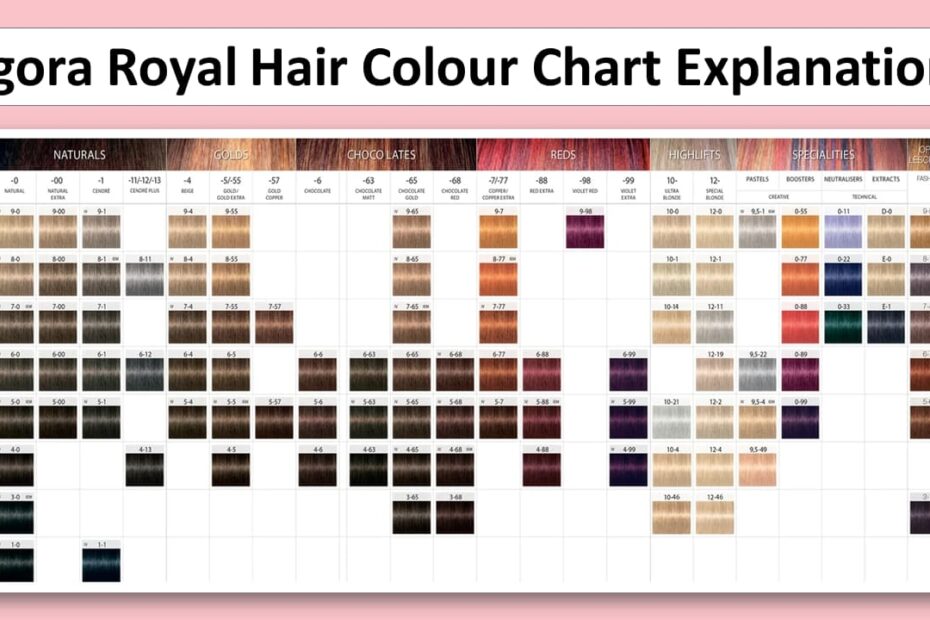Igora Royal Hair Colour Chart PDF With Explaination