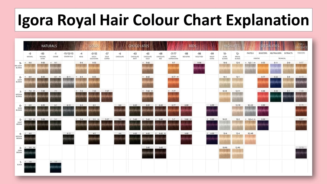 Igora Royal Hair Colour Chart PDF With Explaination