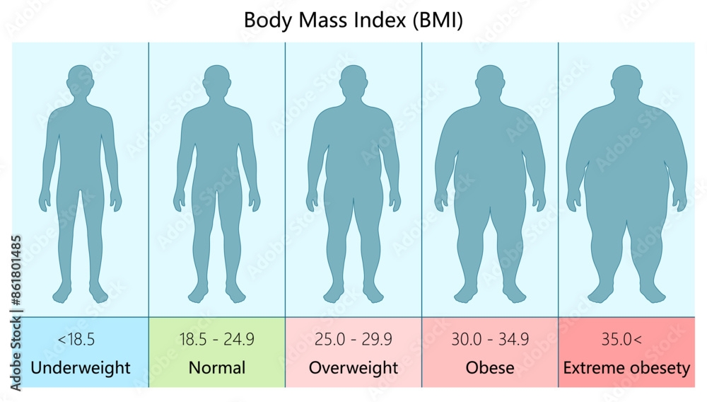 Illustrative Chart Showing Different BMI Categories Underweight To 