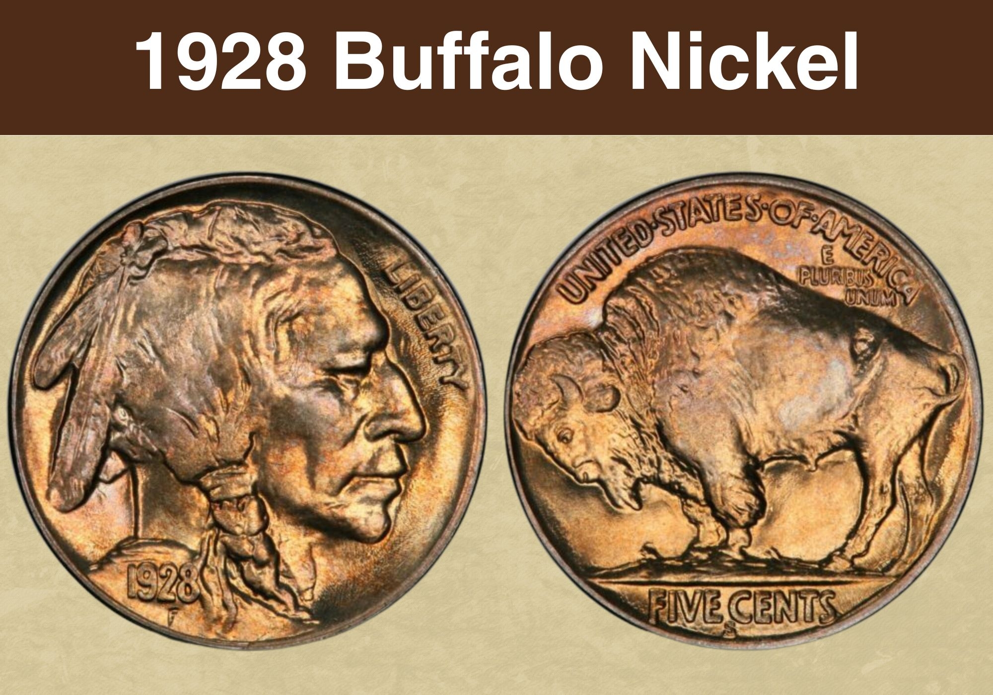 Indian Head Buffalo Nickel With No Date Unlimited Guides To Find The 