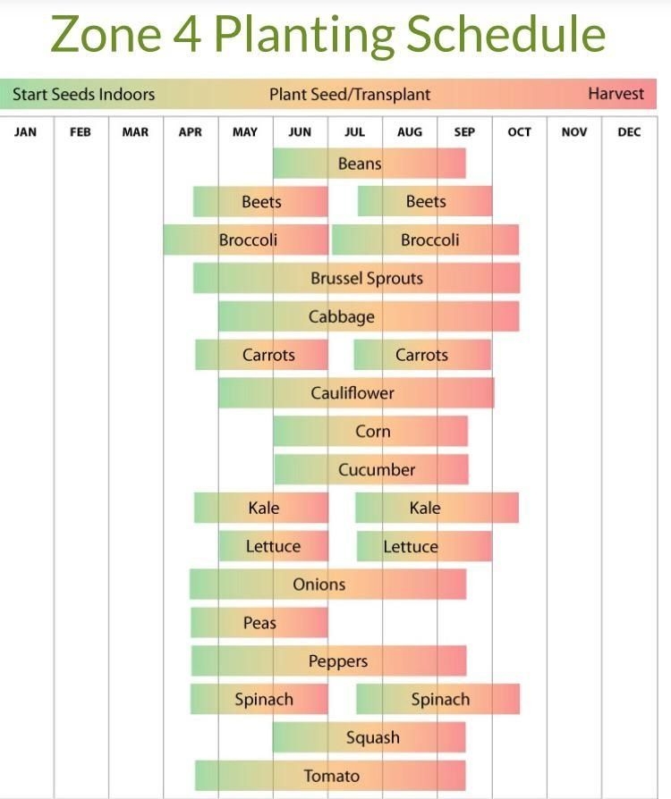 Indoor Seed Starting Calendar Zone 4 Printable And Enjoyable Learning