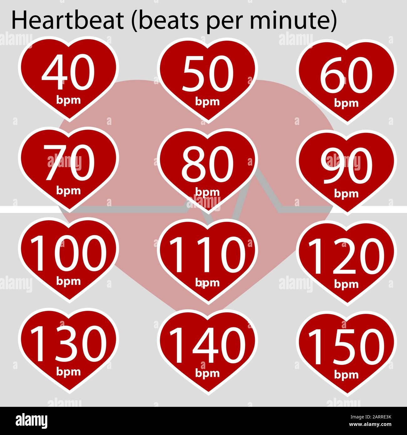 Infographic Showing A Heart And Different Values For Heart Beats Per 