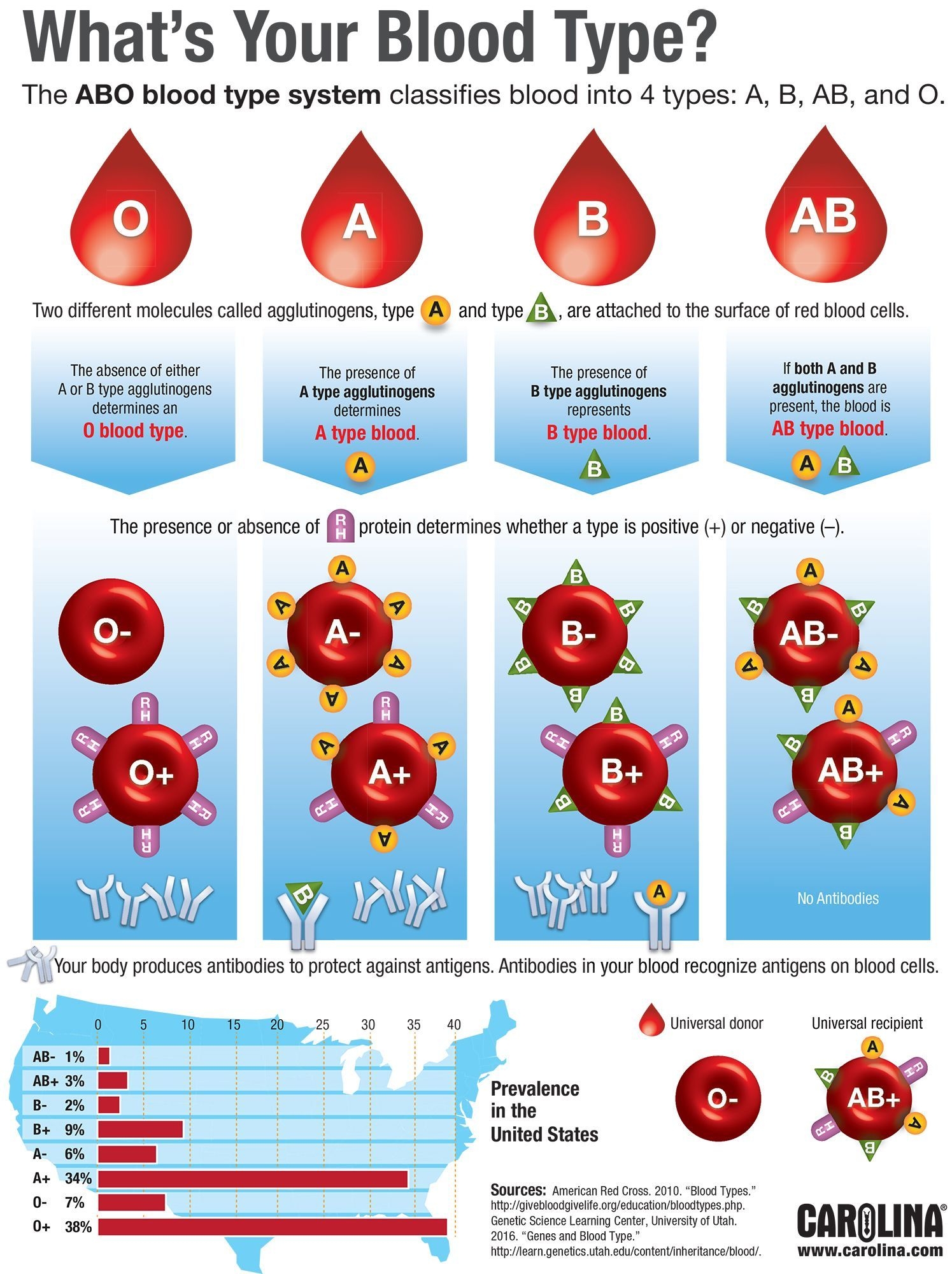 Infographic What 39 s Your Blood Type Teaching Biology Science 
