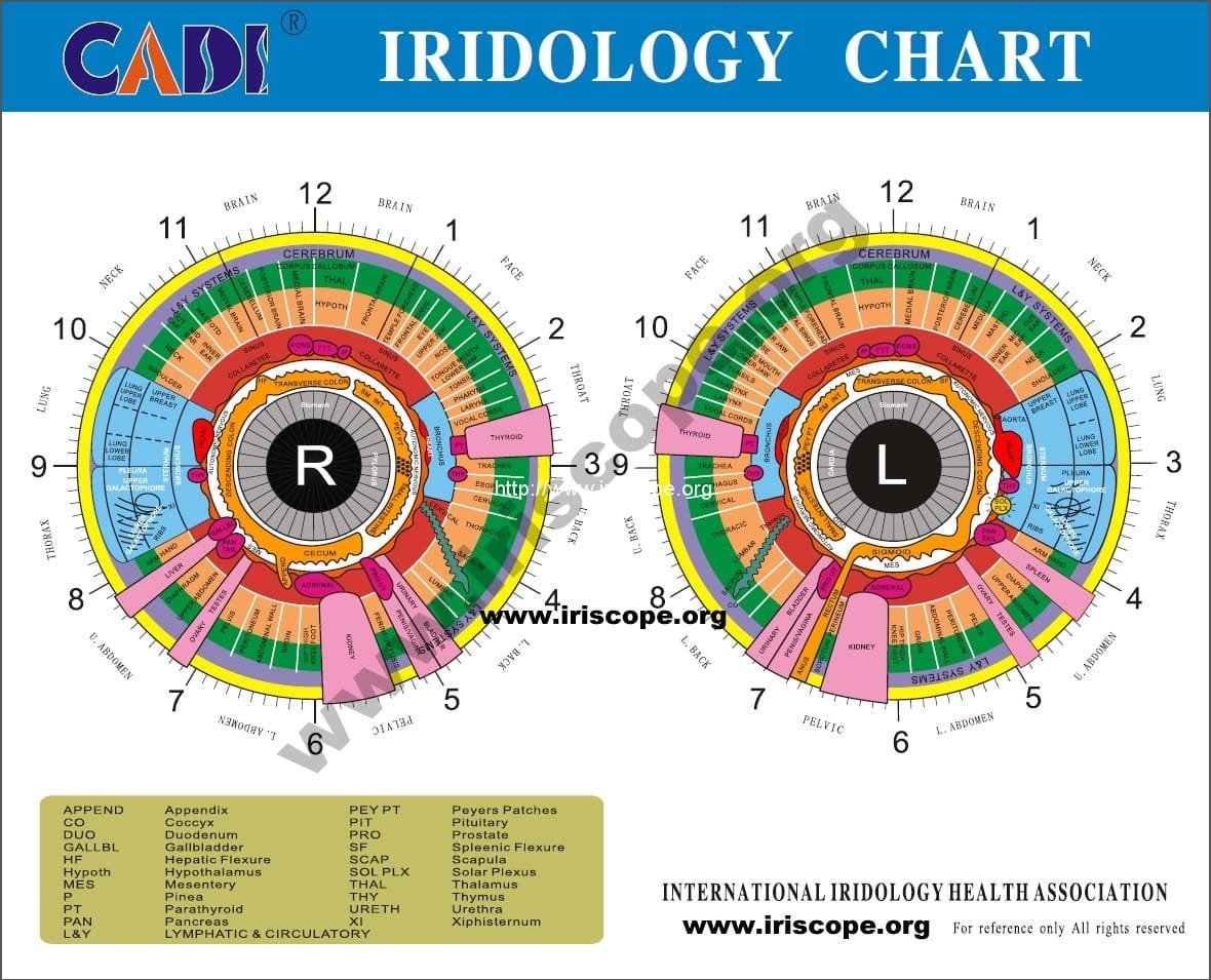 Iridology Chart Iriscope Iridology Camera Iriscope Camera 