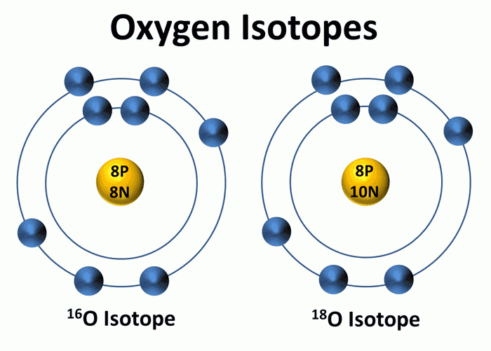 isotopes seating chart isotopes seating chart