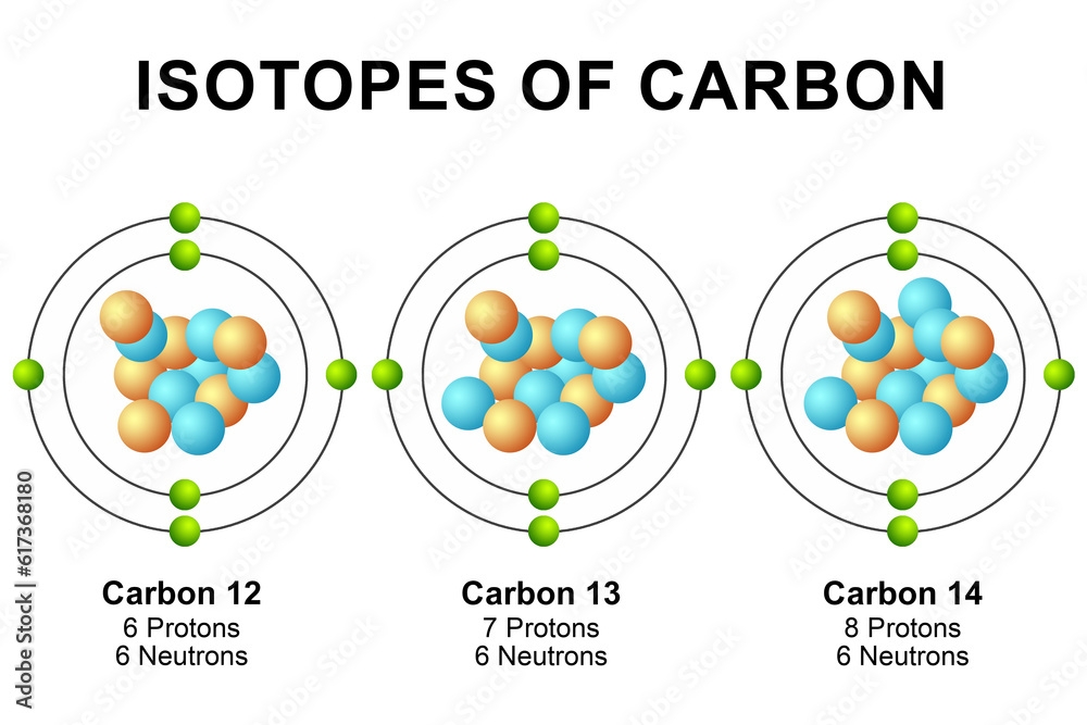 Isotopes Of Carbon Diagram Isolated Stock Illustration Adobe Stock