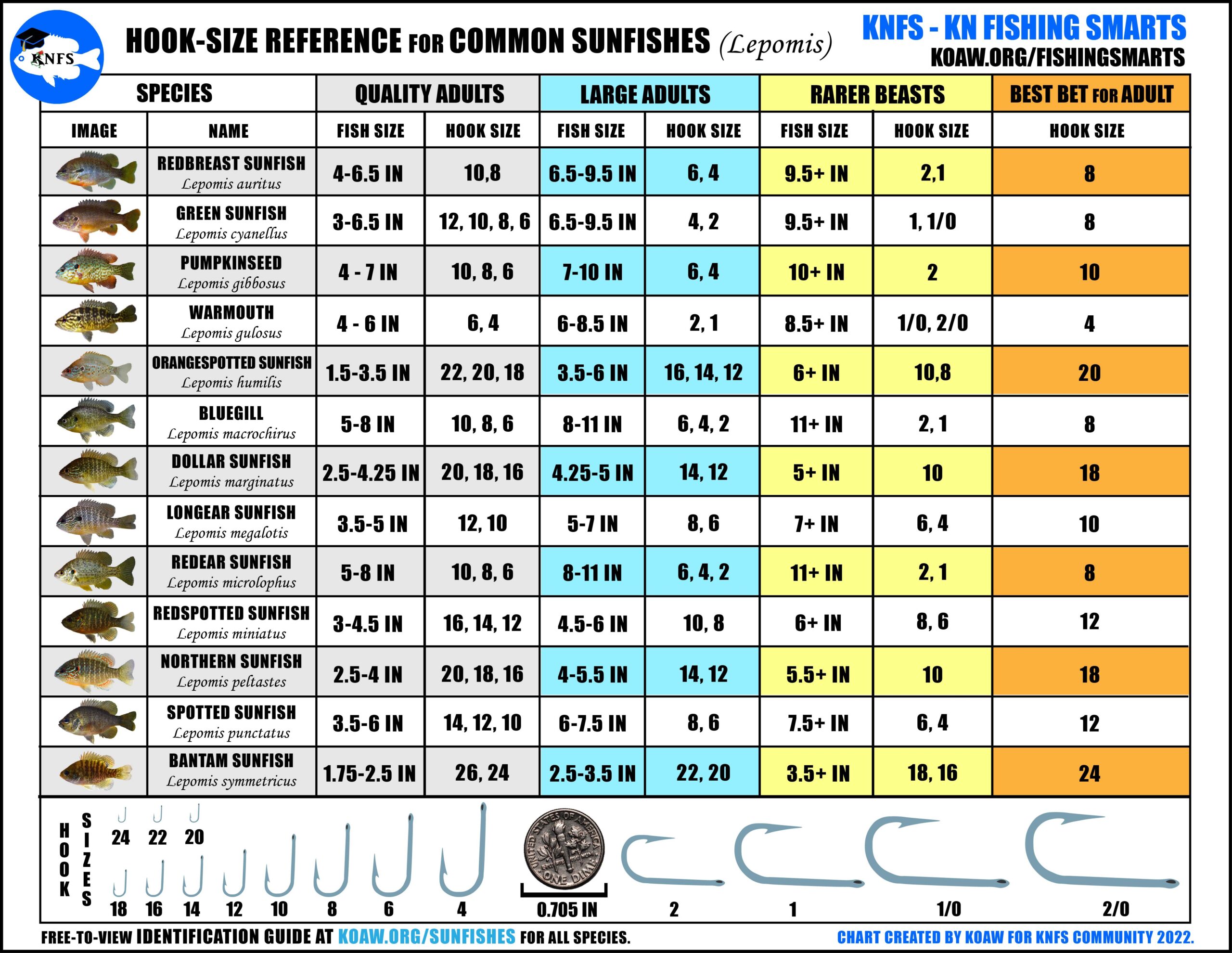 KNFS Free Hook Size Chart For Common Sunfishes Bluegill Longear KNFS Free Hook Size Chart For Common Sunfishes Bluegill Longear