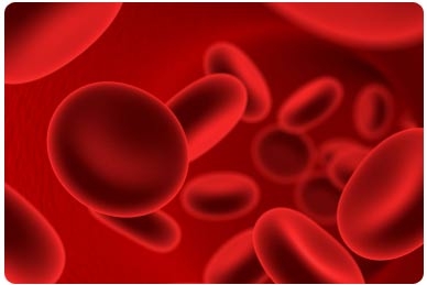 Know Your Circulatory System