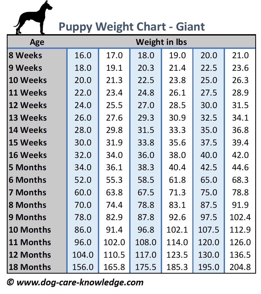 canine growth chart canine growth chart