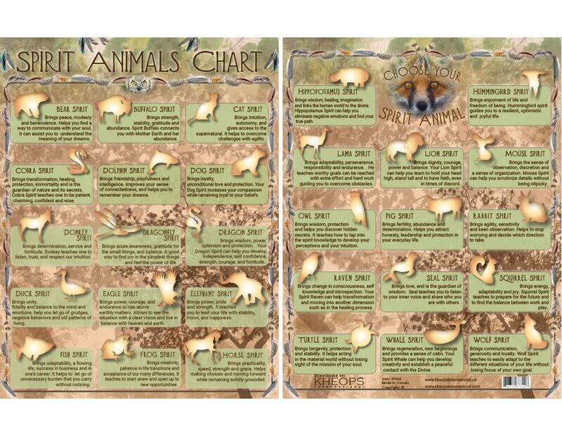 Laminated Spirit Animals Chart Mystic Mountain Magick