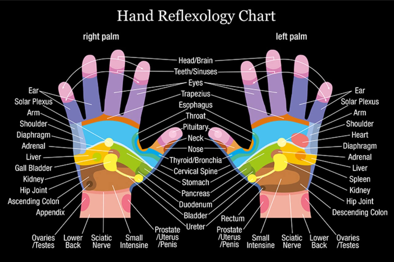 Learning From A Hand Reflexology Chart To Promote Quality Of Life Learning From A Hand Reflexology Chart To Promote Quality Of Life