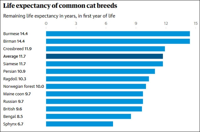 cat life expectancy chart cat life expectancy chart