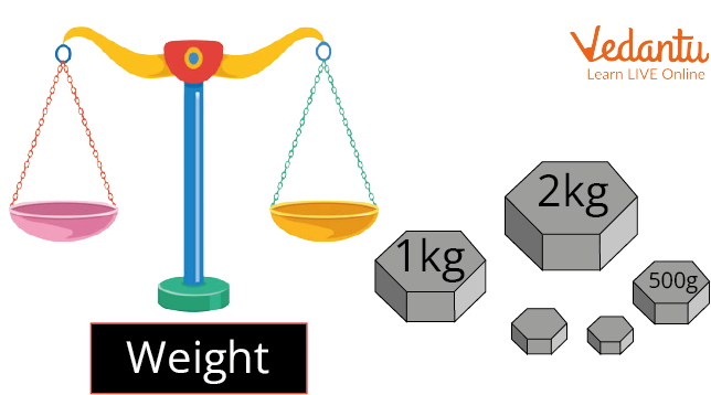 Measurement Of Length Weight Capacity Time Area Guide