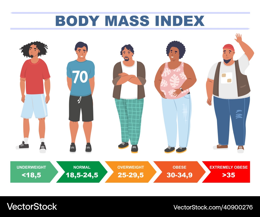 Men 39 s BMI Chart Weight Height Guide Vector Image