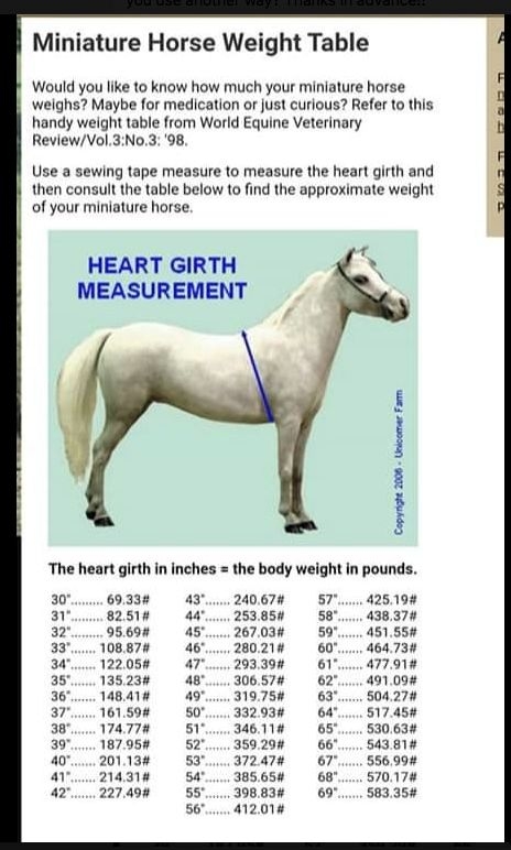 Mini Horse Weight Chart Mini Horse Weight Chart