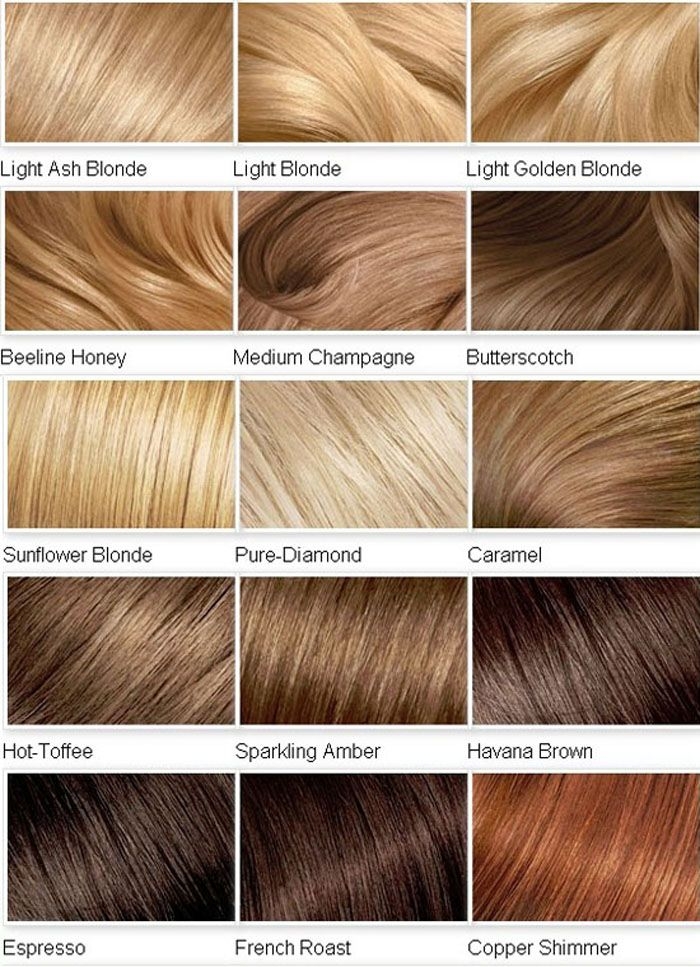 Natural Blonde Hair Color Chart Minimalist Chart Design