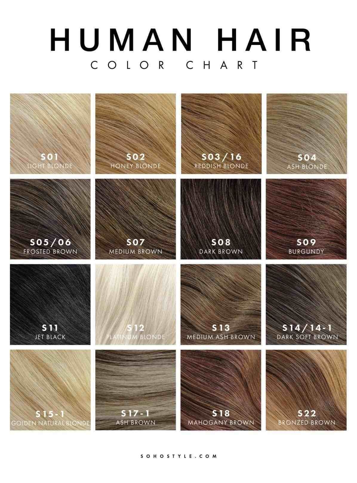 Neutral Hair Color Chart Minimalist Chart Design
