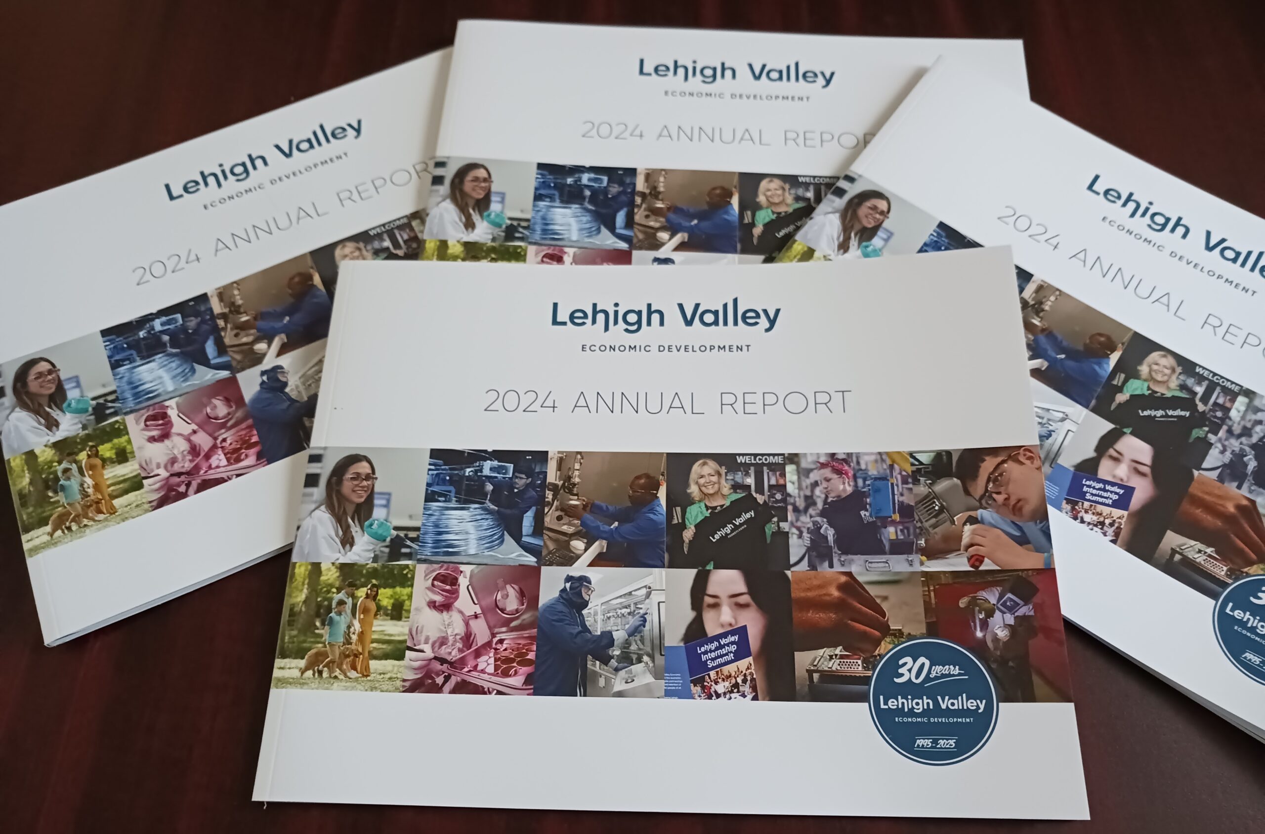 New Report LVEDC Annual Report Details Insightful Data Economic Wins New Report LVEDC Annual Report Details Insightful Data Economic Wins