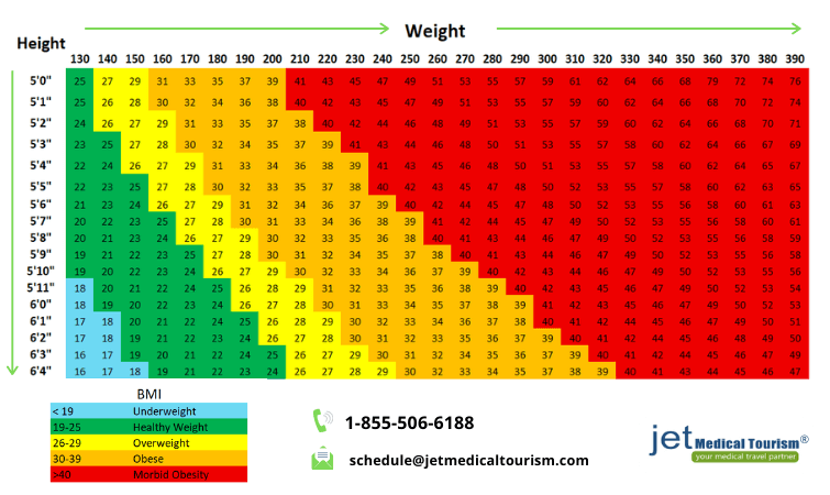 Obesity Chart