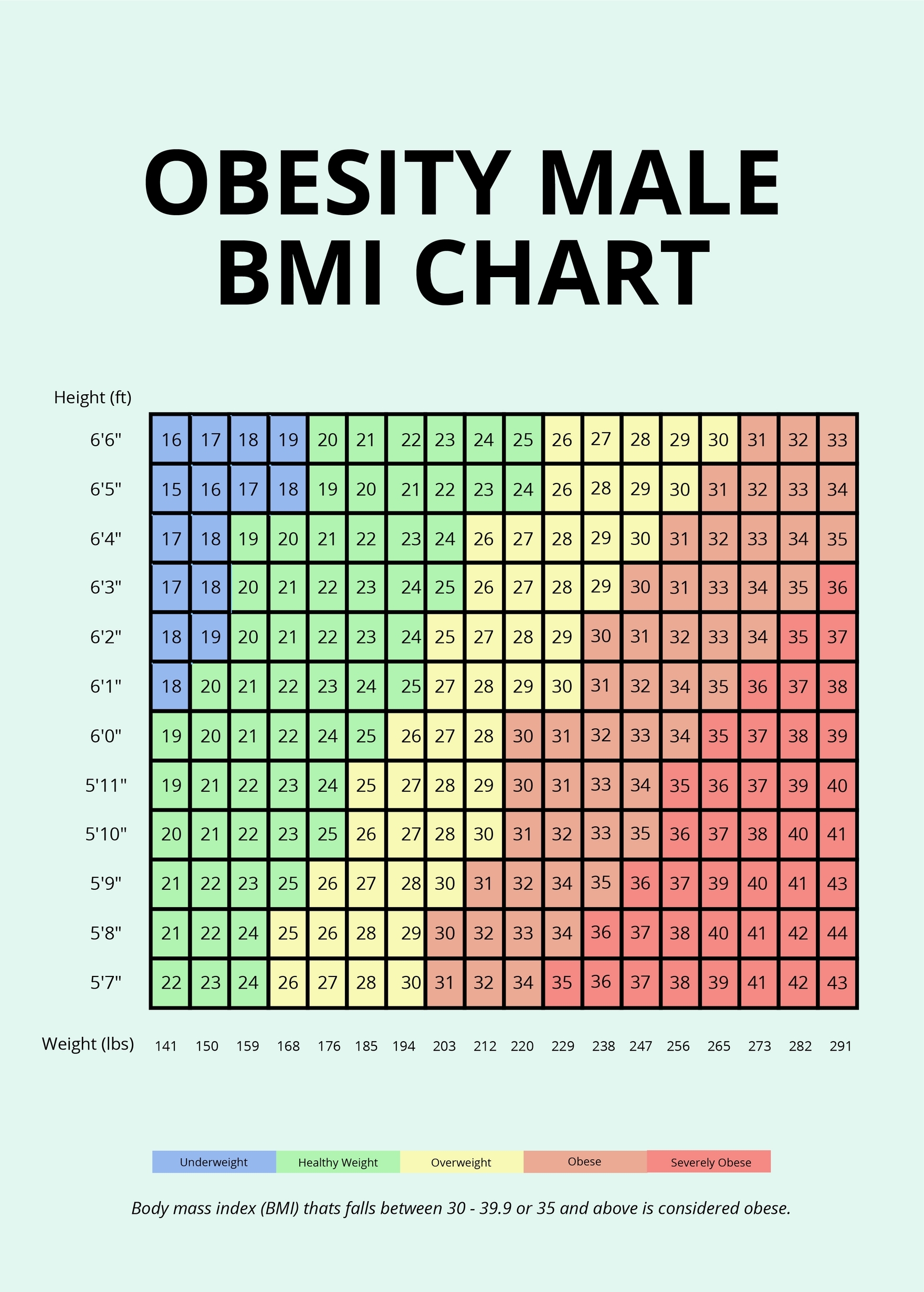 Obesity Chart