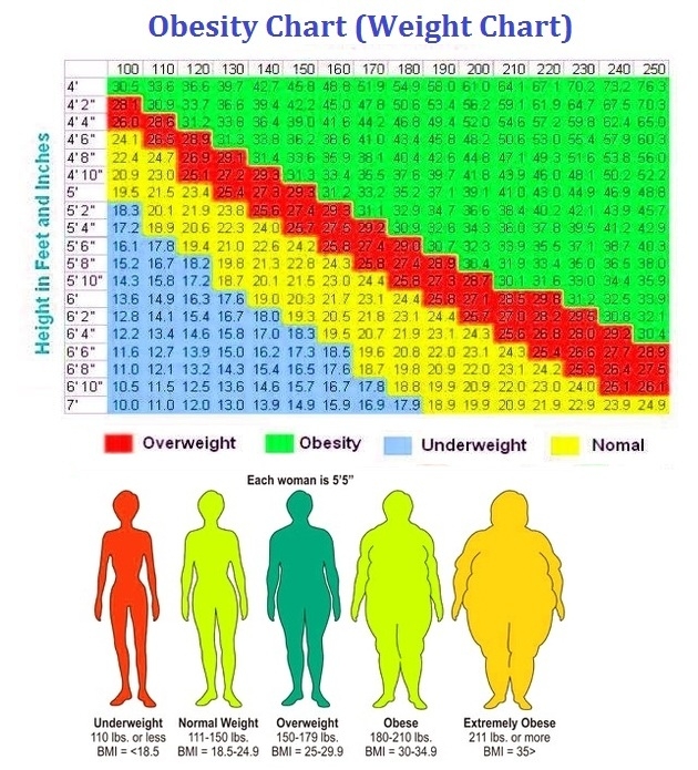 Obesity Weight Chart Charts Diagrams Graphs