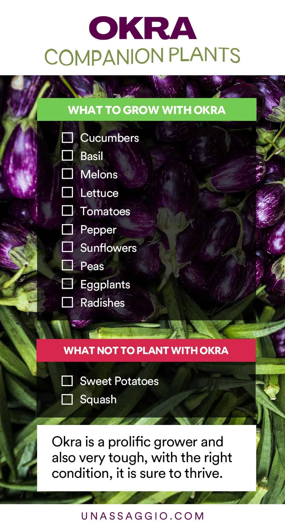 companion plants chart companion plants chart